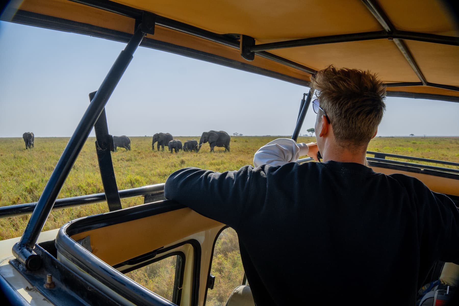 A traveller watching a family of elephants from inside a safari vehicle