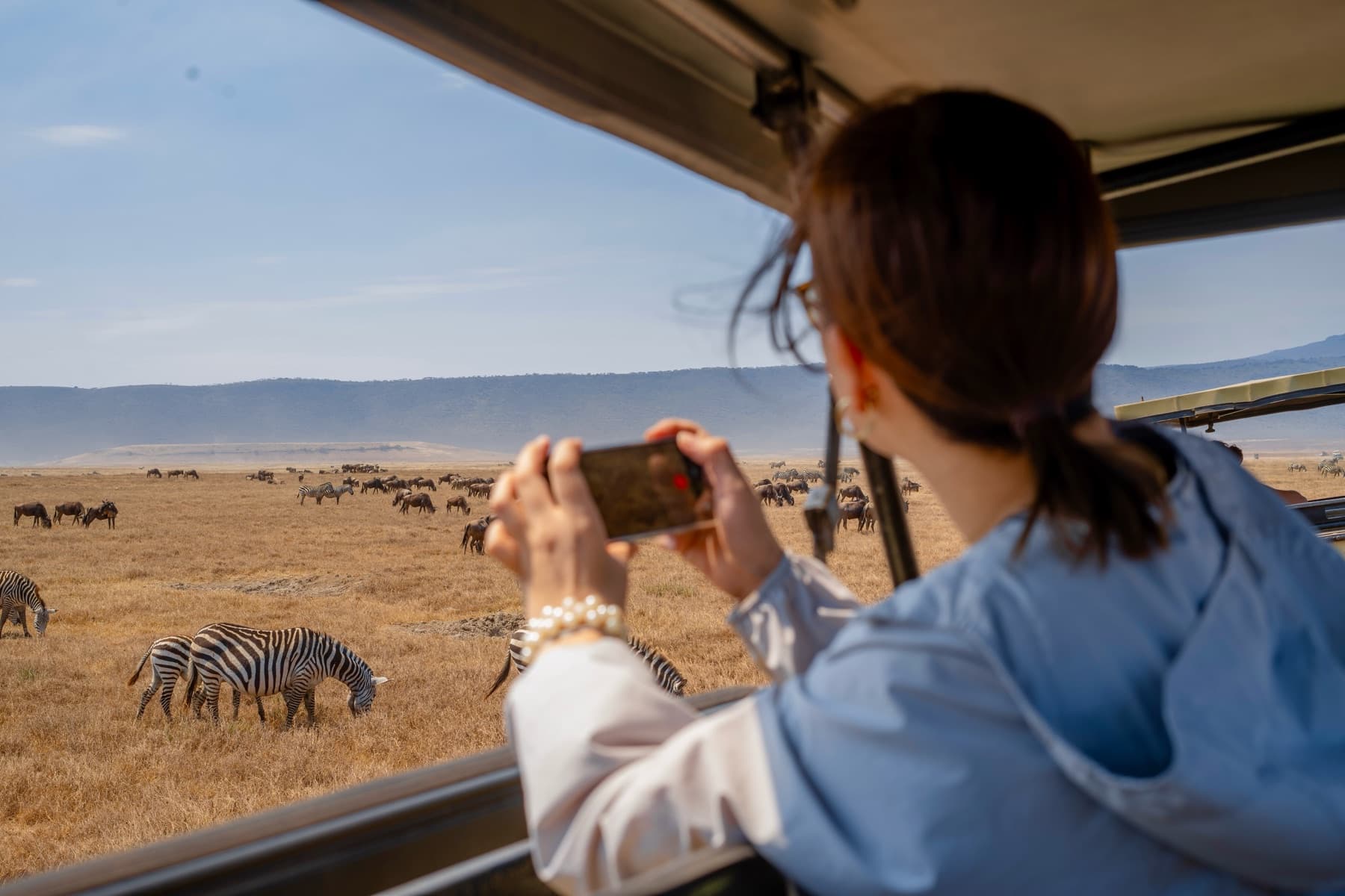 A traveller photographing zebra and wildebeest from inside a safari vehicle on the plains